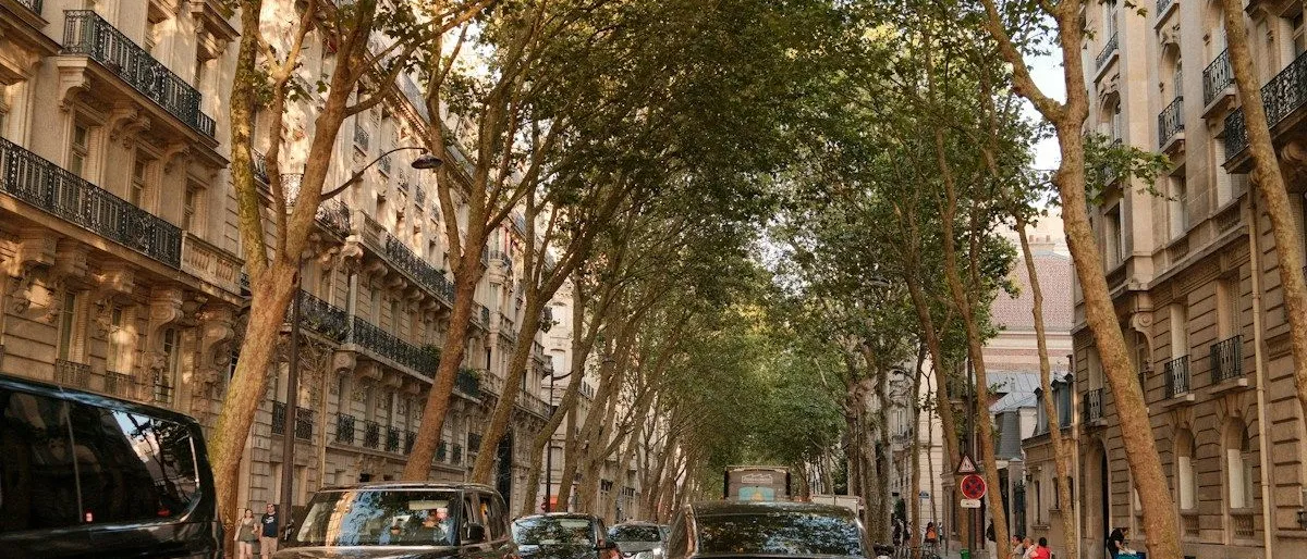 Illustration d'un rassemblement de taxis parisiens avec des pancartes divergentes représentant la division syndicale.