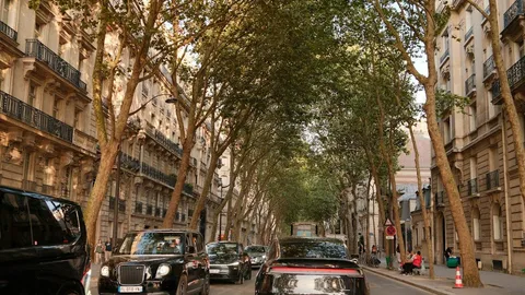 Illustration d'un rassemblement de taxis parisiens avec des pancartes divergentes représentant la division syndicale.